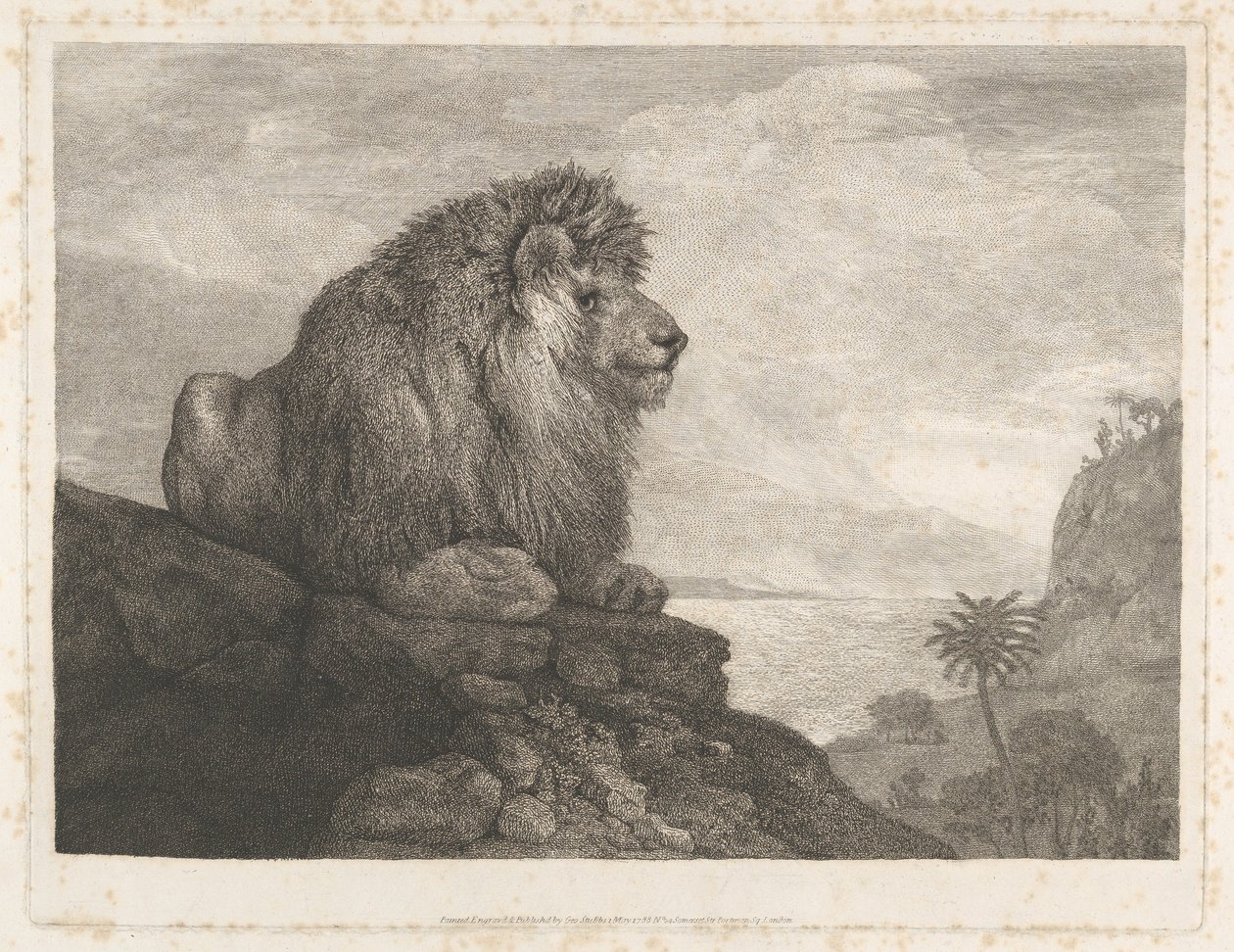Um leão (um leão a descansar sobre uma rocha) de George Stubbs