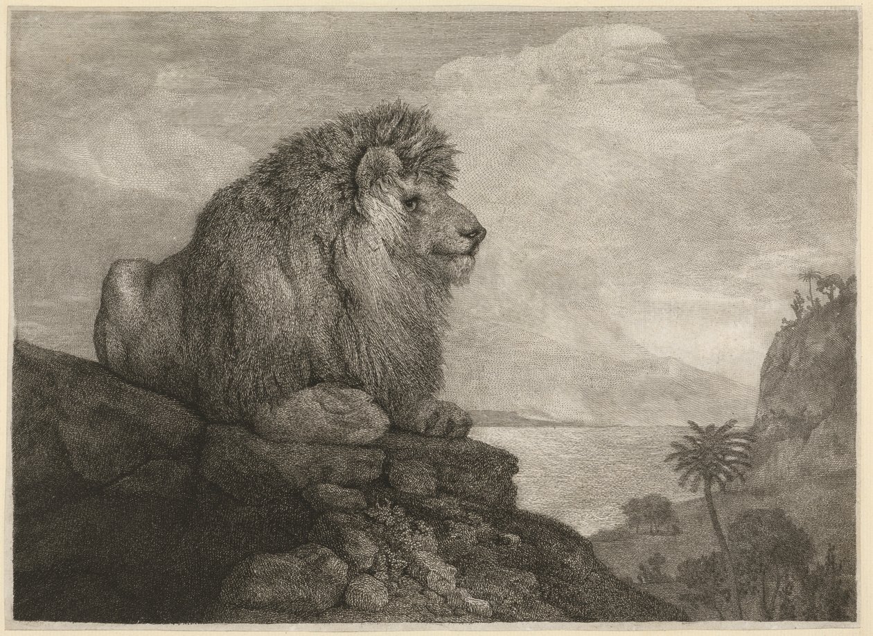 Um Leão [Um Leão a descansar sobre uma rocha] de George Stubbs