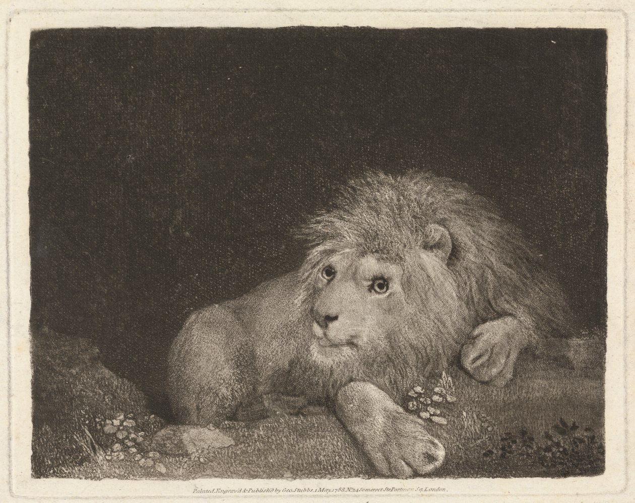 Um Leão [Um Leão em recesso] de George Stubbs