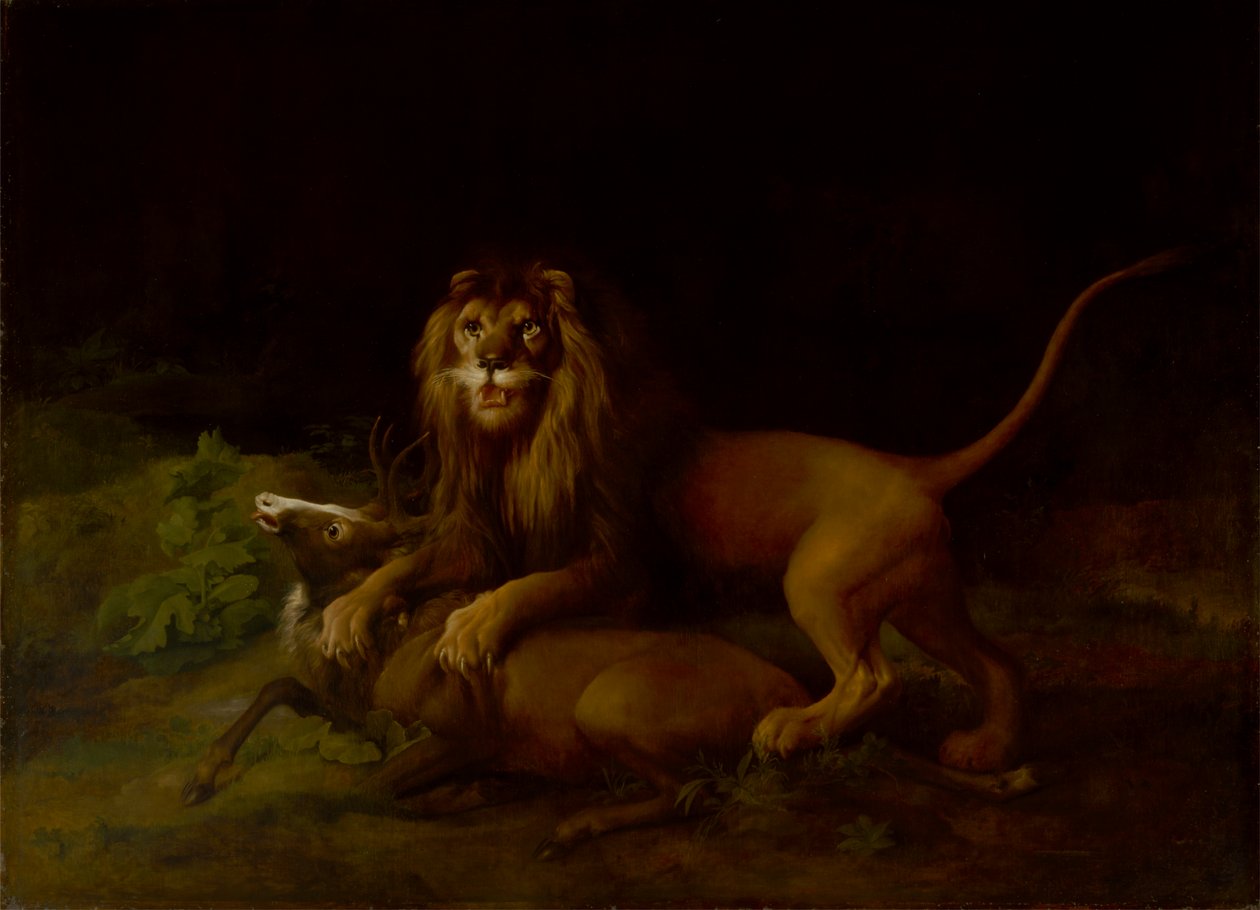 Um Leão a atacar um veado de George Stubbs