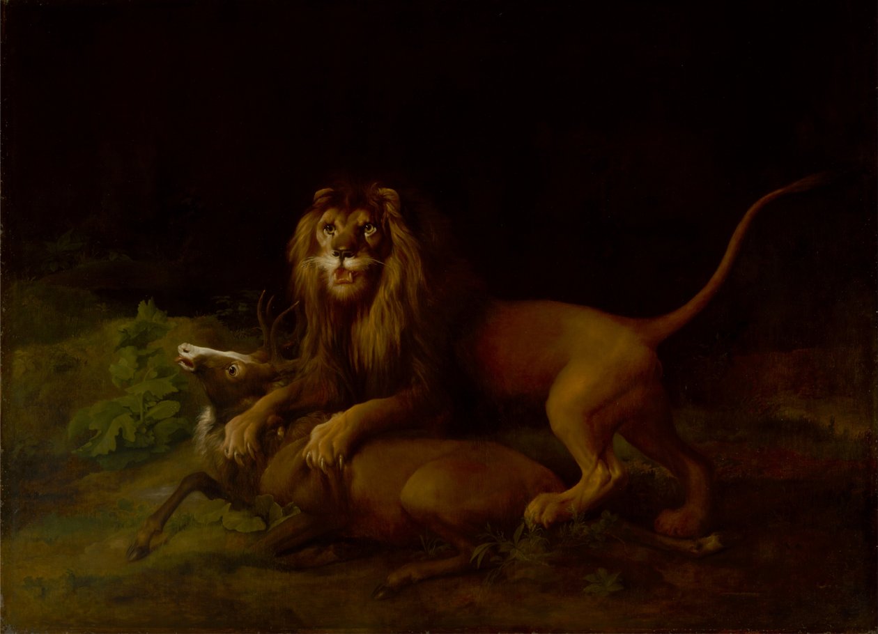 Um leão a atacar um veado de George Stubbs