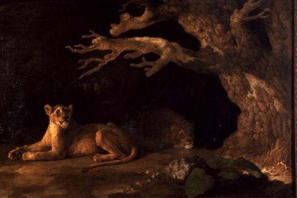 Um Leão e uma leoa de George Stubbs