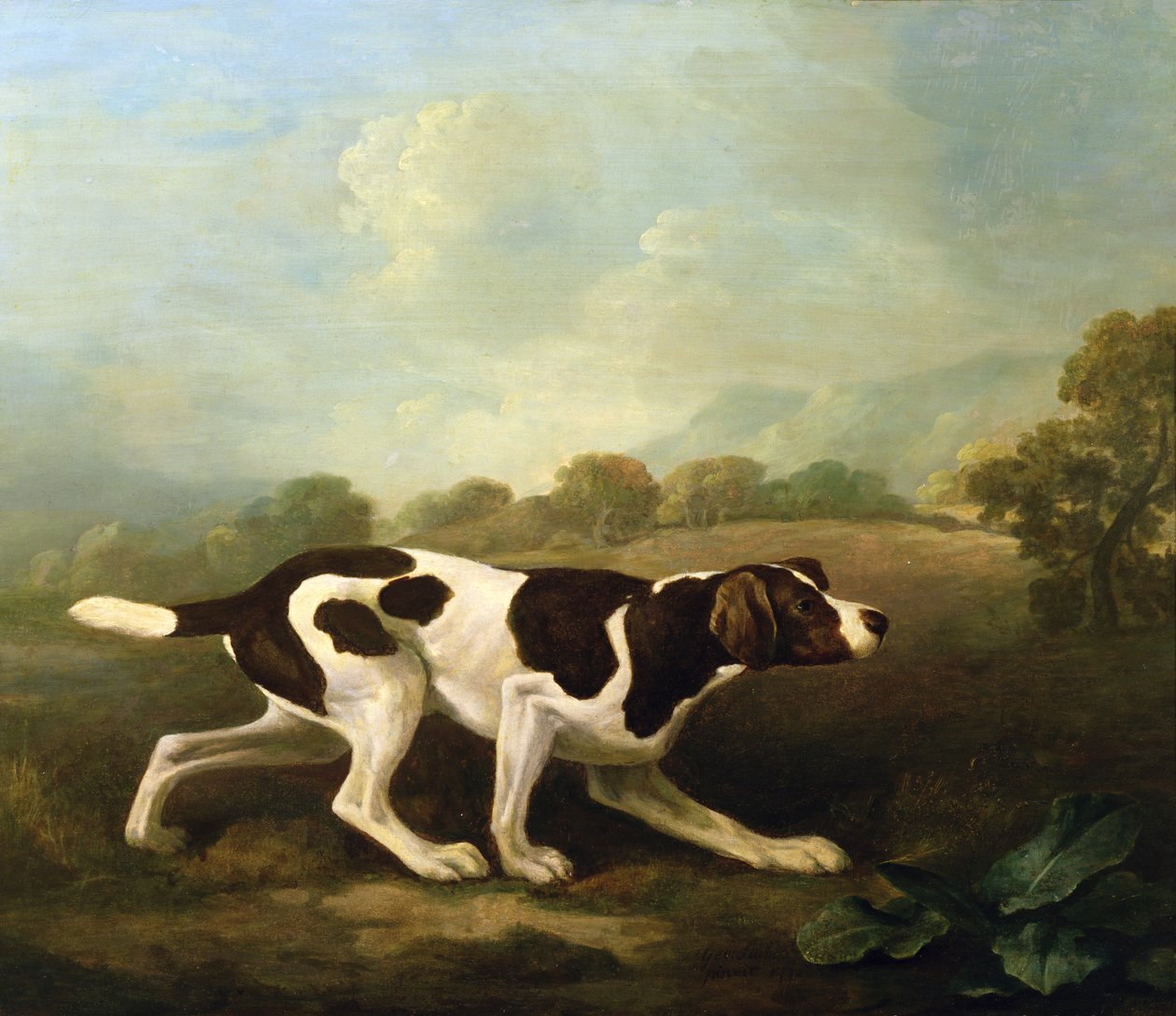 Um Ponteiro (óleo sobre tela) (para par ver 266117) de George Stubbs