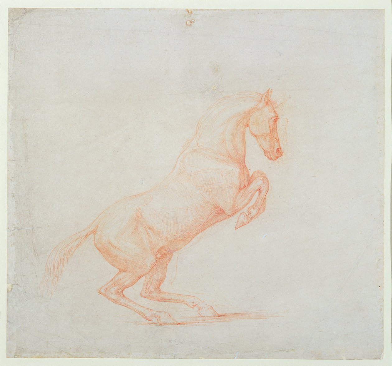 Um cavalo empinado, virado para a direita, 1790 (giz vermelho sobre papel) de George Stubbs