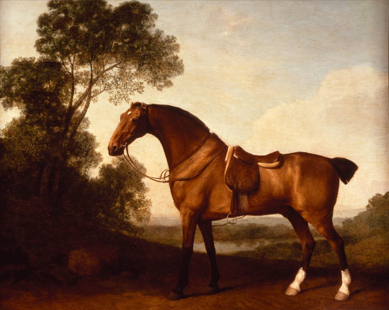 Um caçador de baía selado de George Stubbs