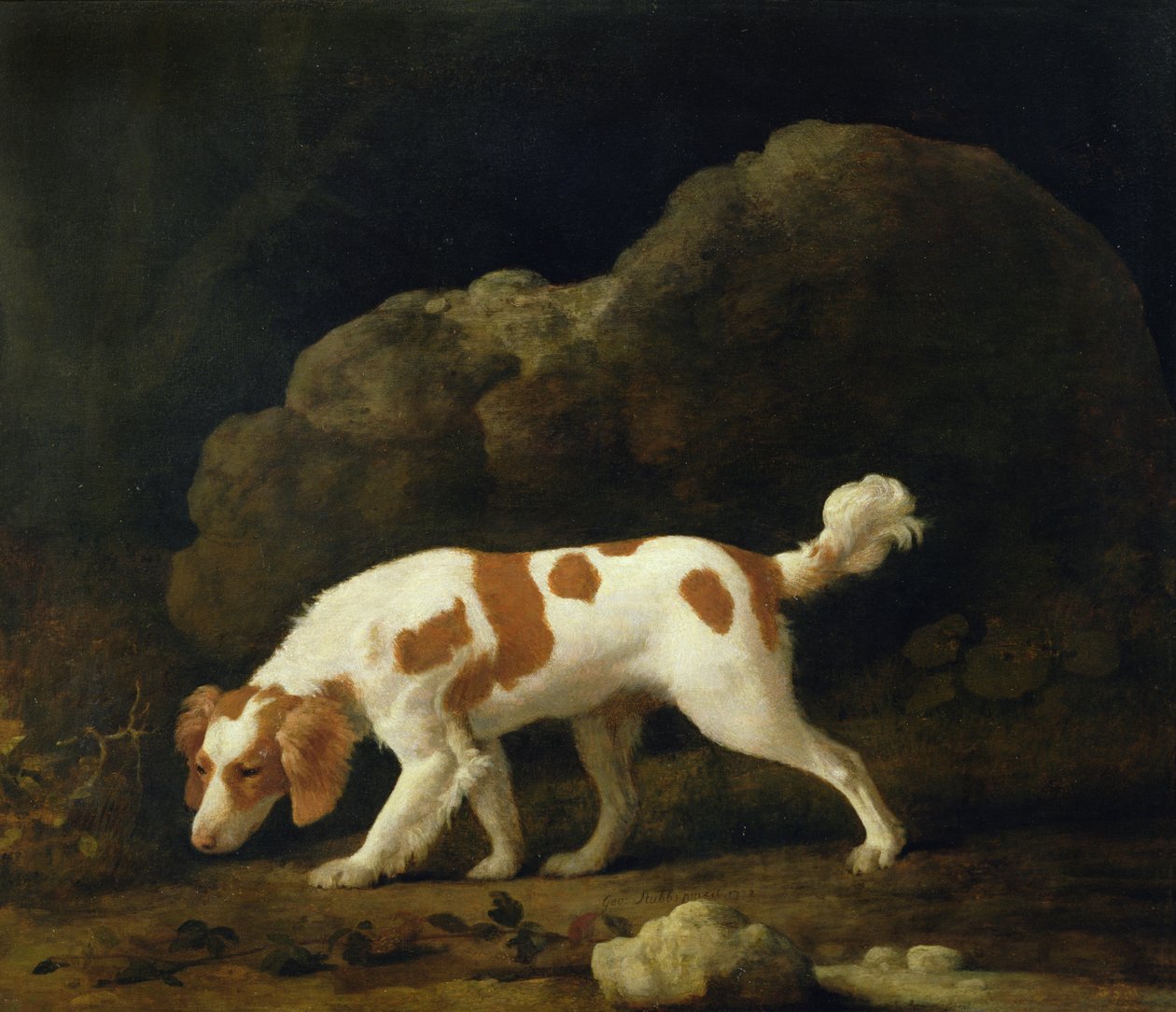 A Spaniel (óleo sobre tela) (para par ver 266116) de George Stubbs
