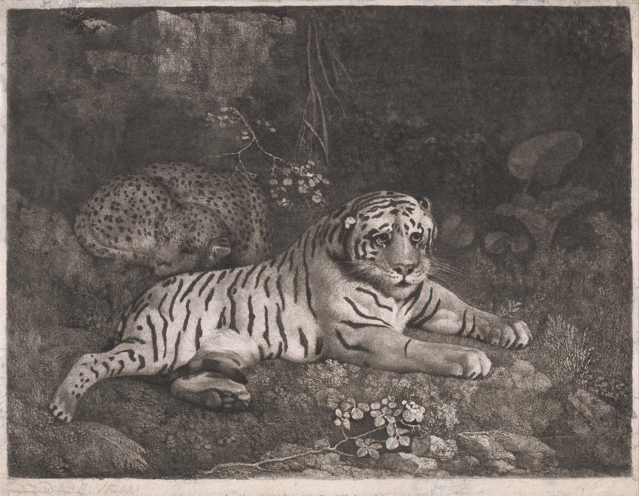 Um tigre e um leopardo adormecido de George Stubbs