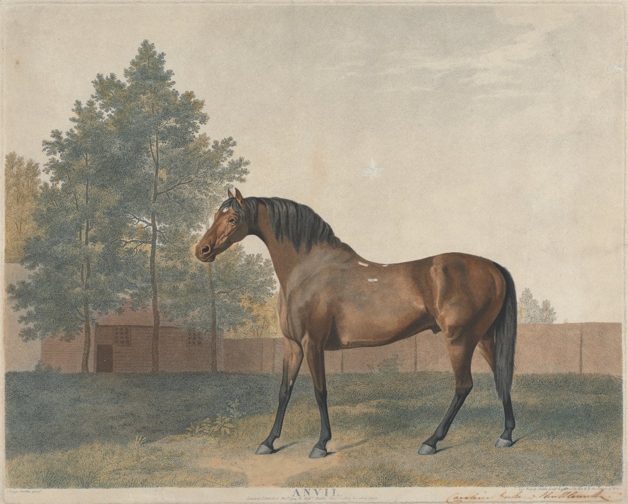 "Anvil" de George Stubbs