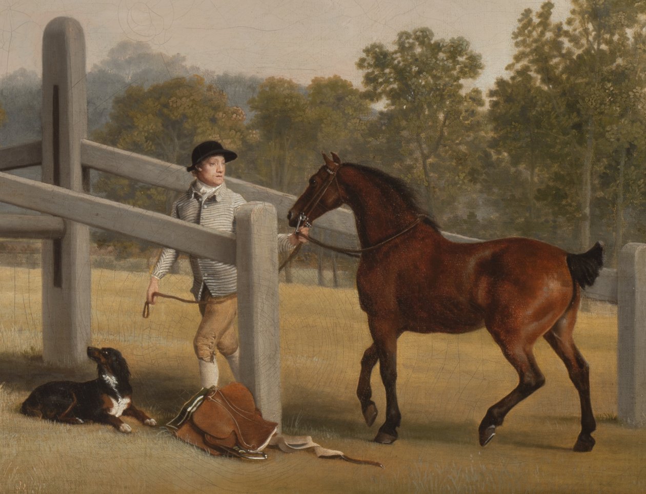 Detalhe de William Henry Cavendish-Bentinck, 3º Duque de Portland e seu irmão mais novo Lord Edward, 1767-68 (detalhe de 3089923) de George Stubbs