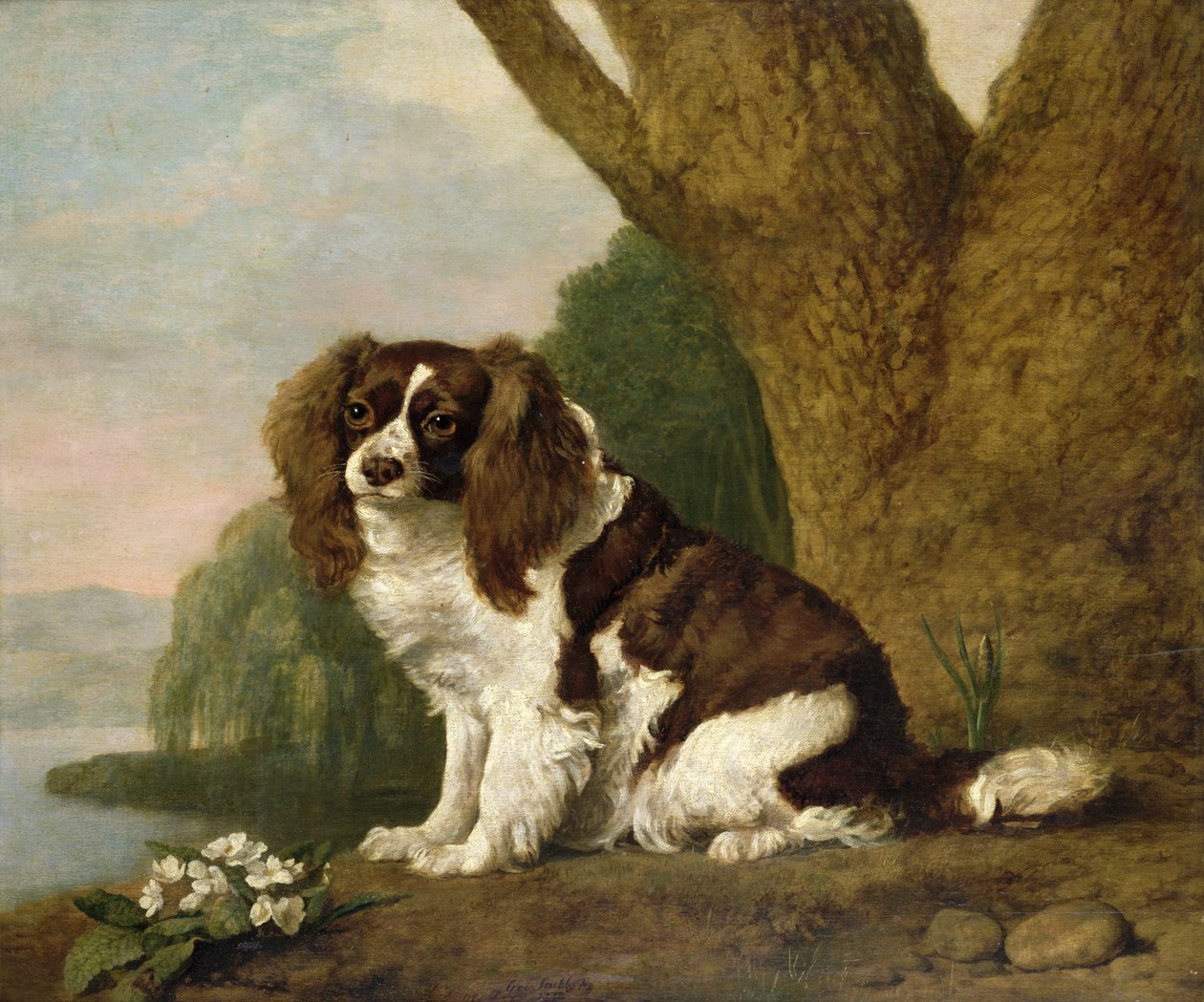 Fanny, um spaniel castanho e branco de George Stubbs