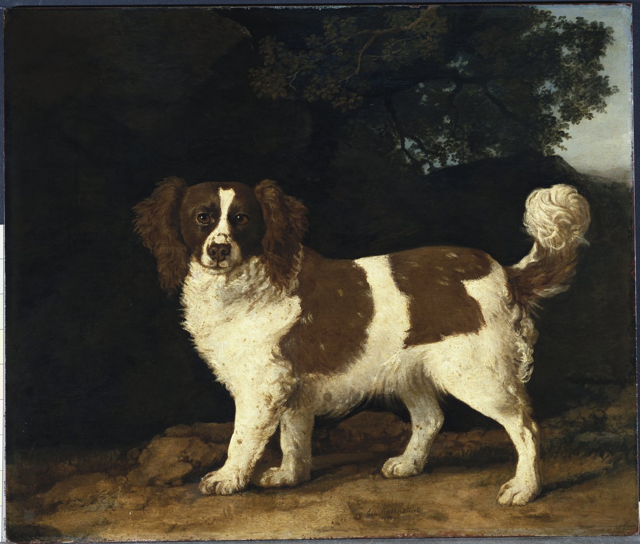 Fanny, o Spaniel favorito da Sra. Musters, de pé em uma paisagem arborizada, 1777 de George Stubbs