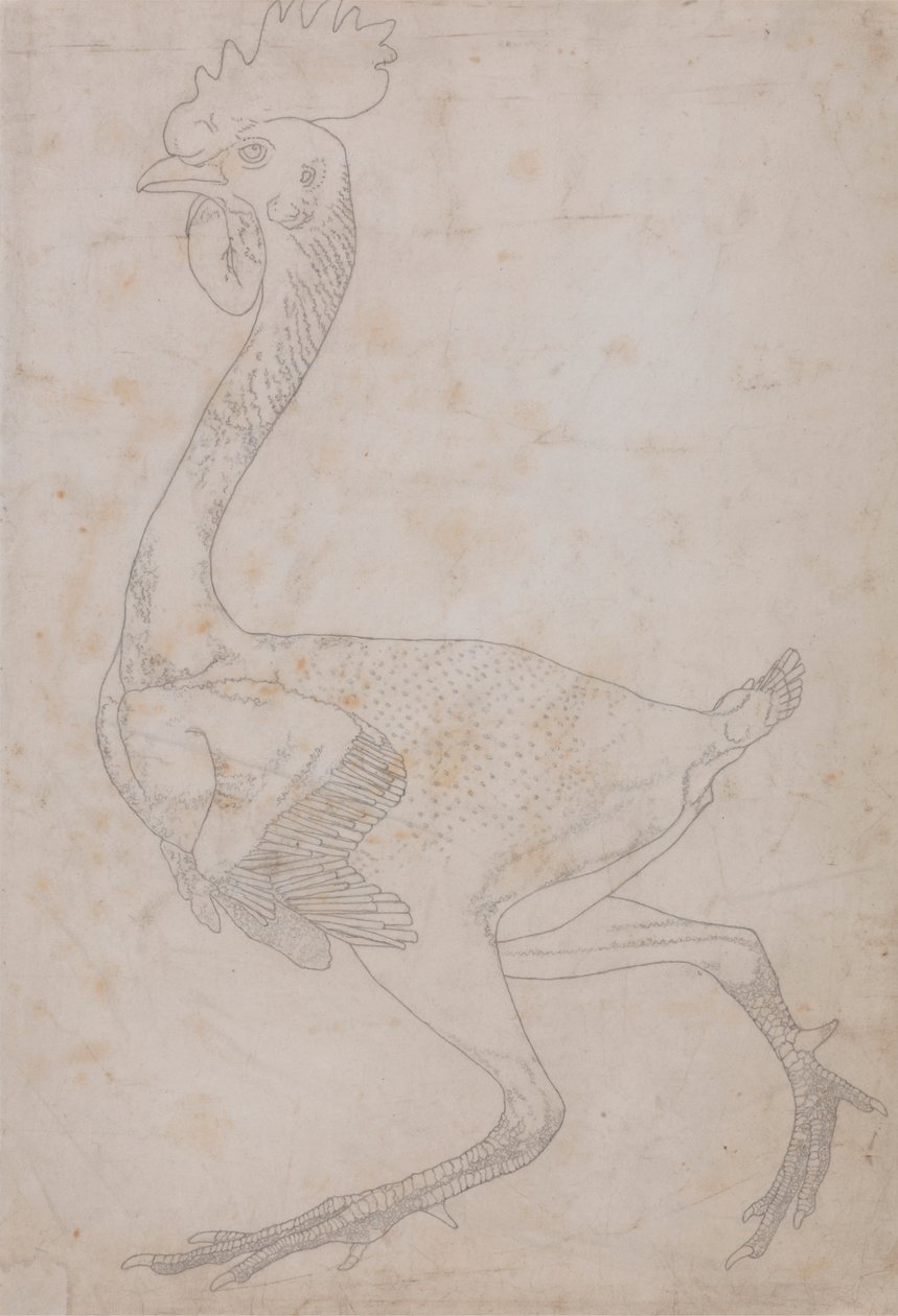 Corpo da ave, vista lateral (Provavelmente preparado para transferência para a chapa para gravação do índice para a tabela X) de George Stubbs