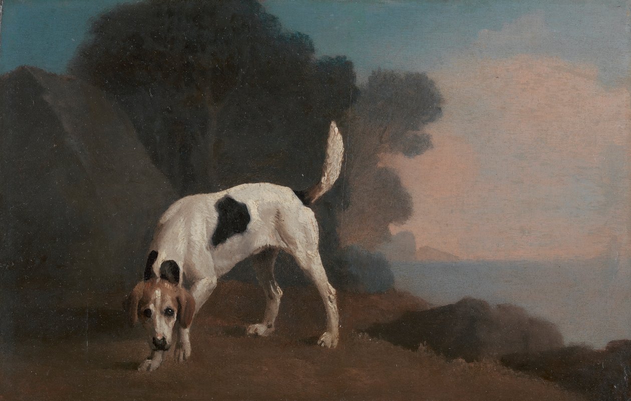 Foxhound de George Stubbs