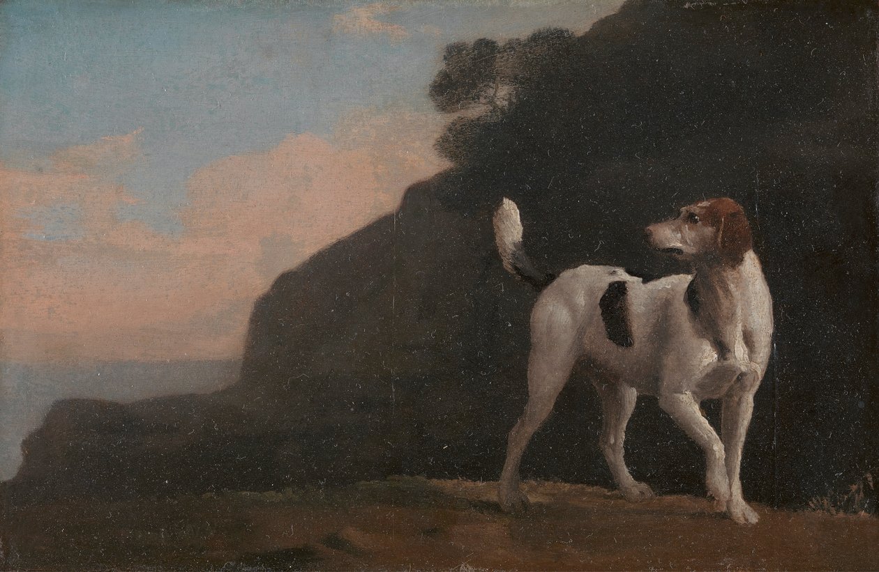 Foxhound de George Stubbs