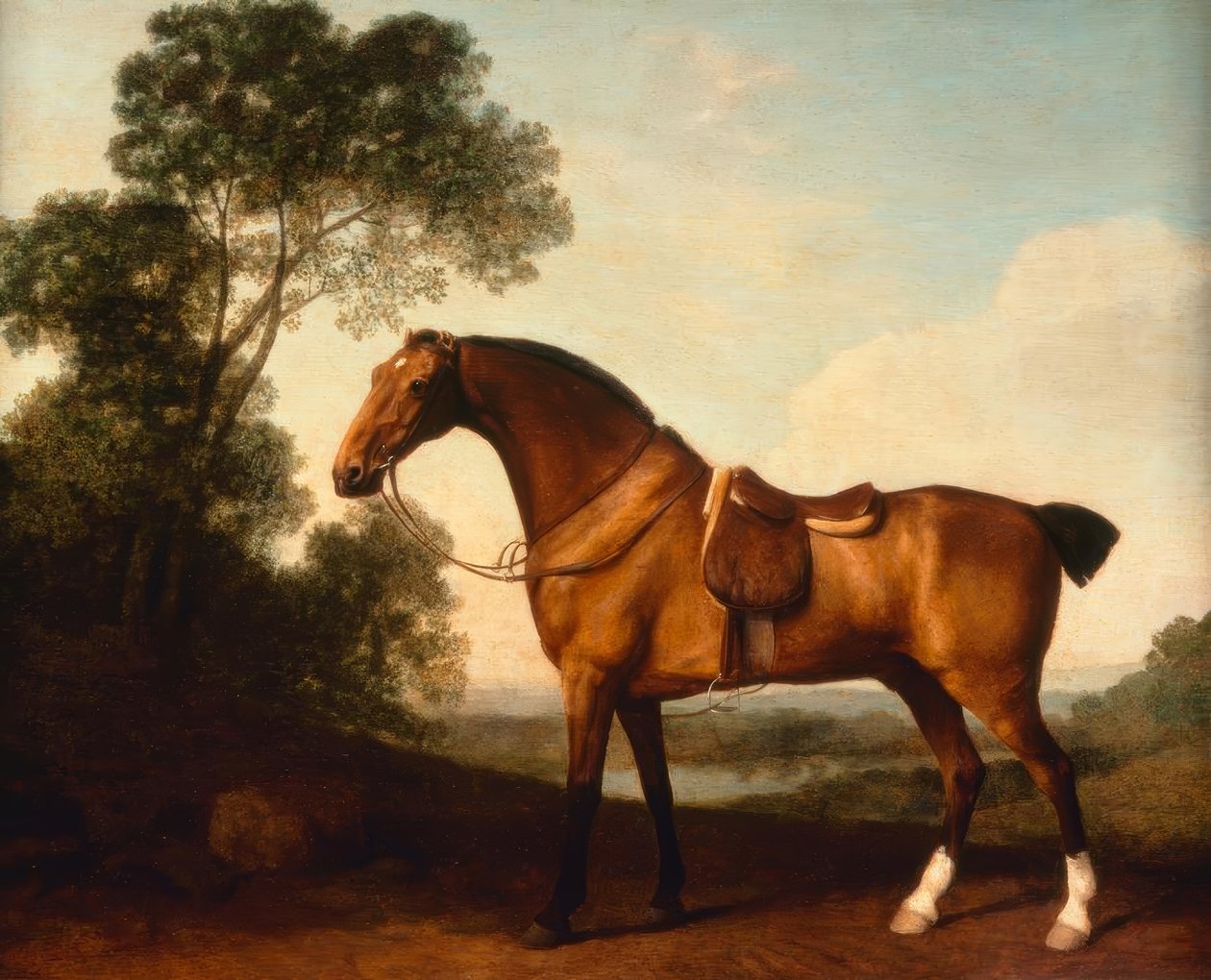 G. Stubbs, um caçador de baía selado de George Stubbs