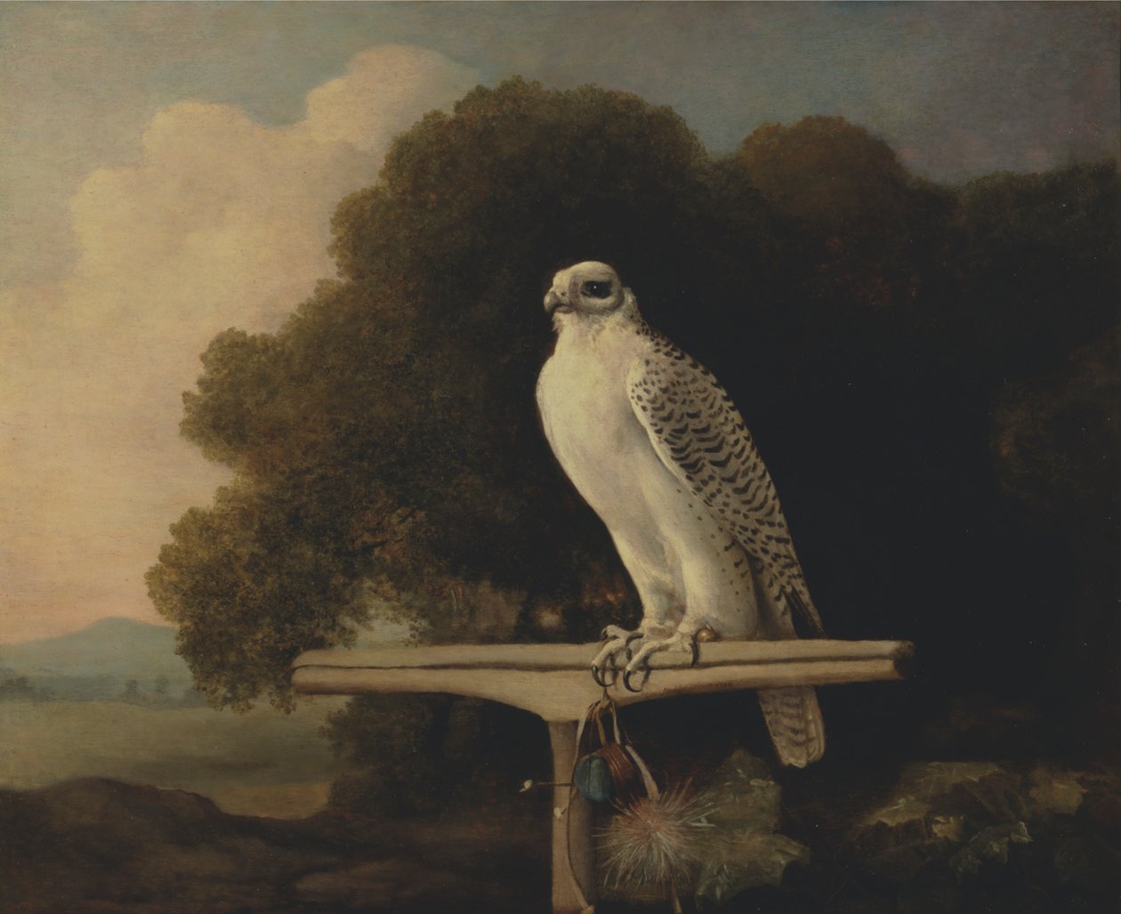 Falcão da Gronelândia de George Stubbs