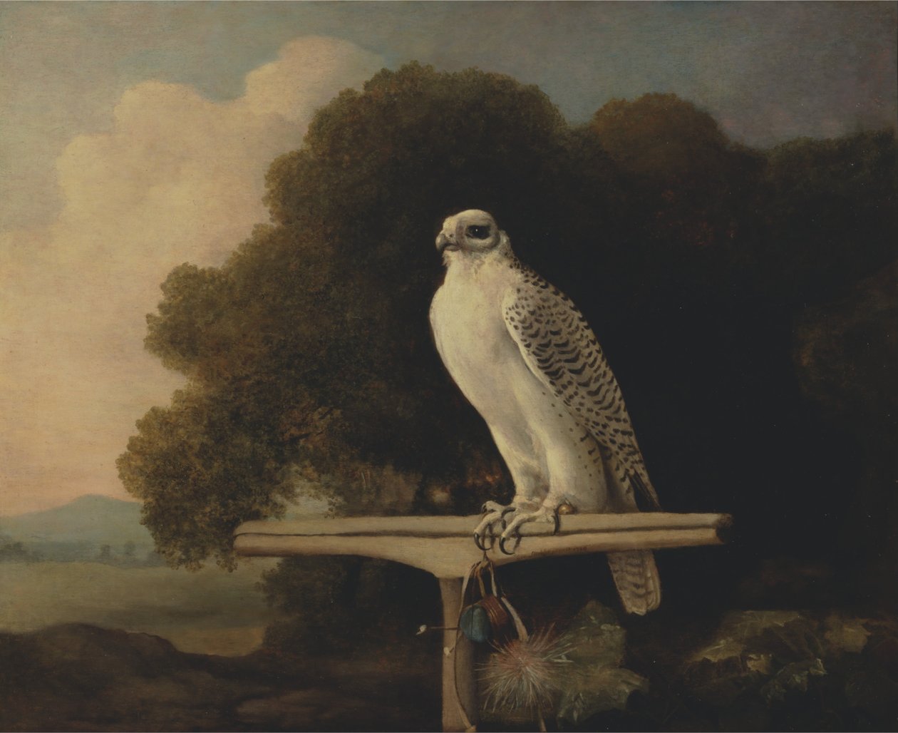 Falcão da Gronelândia de George Stubbs