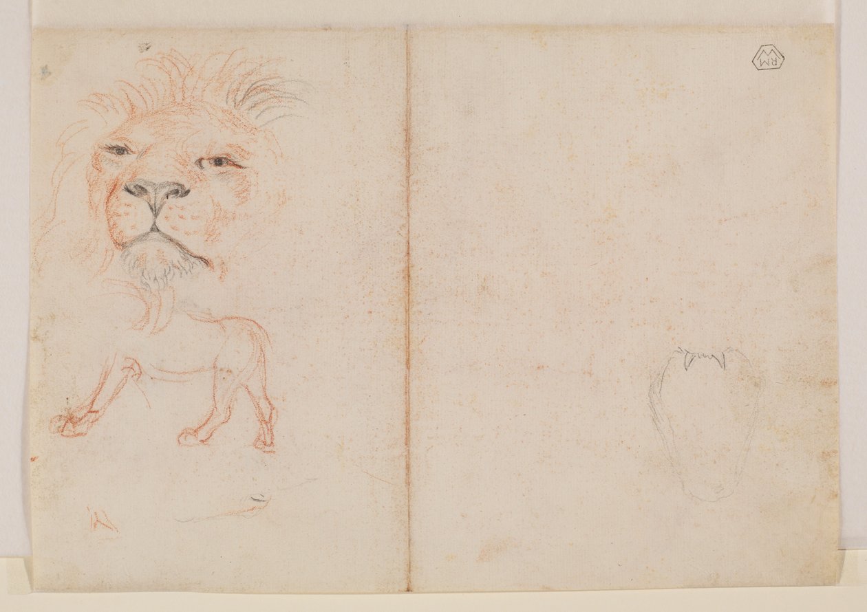 Cabeça de leão, verso, século XVIII ou XIX de George Stubbs