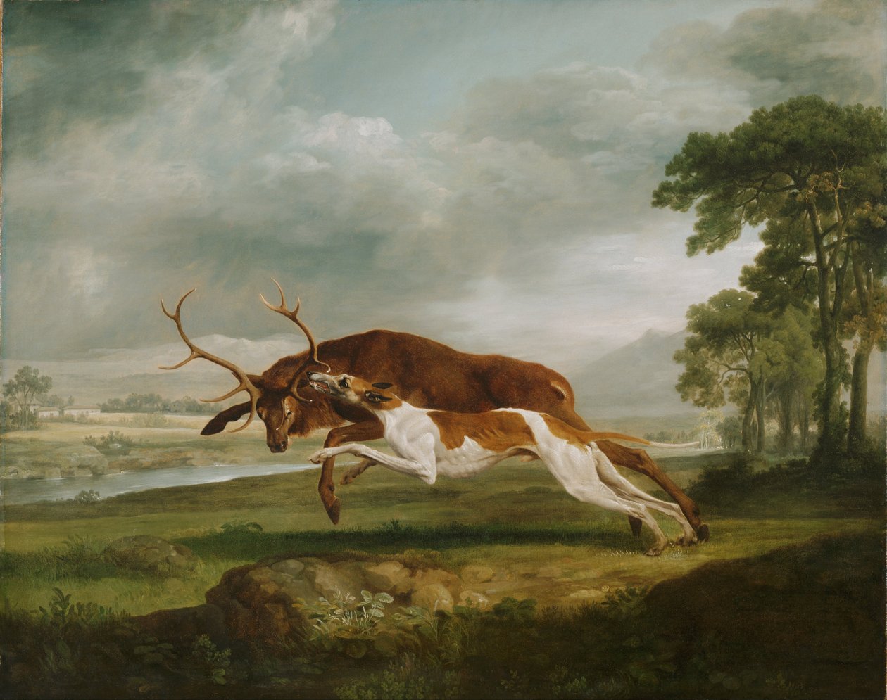 Cão de caça a perseguir um veado de George Stubbs