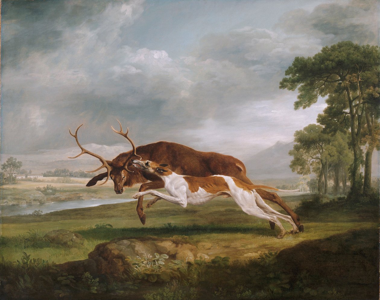 Cão correndo um veado de George Stubbs