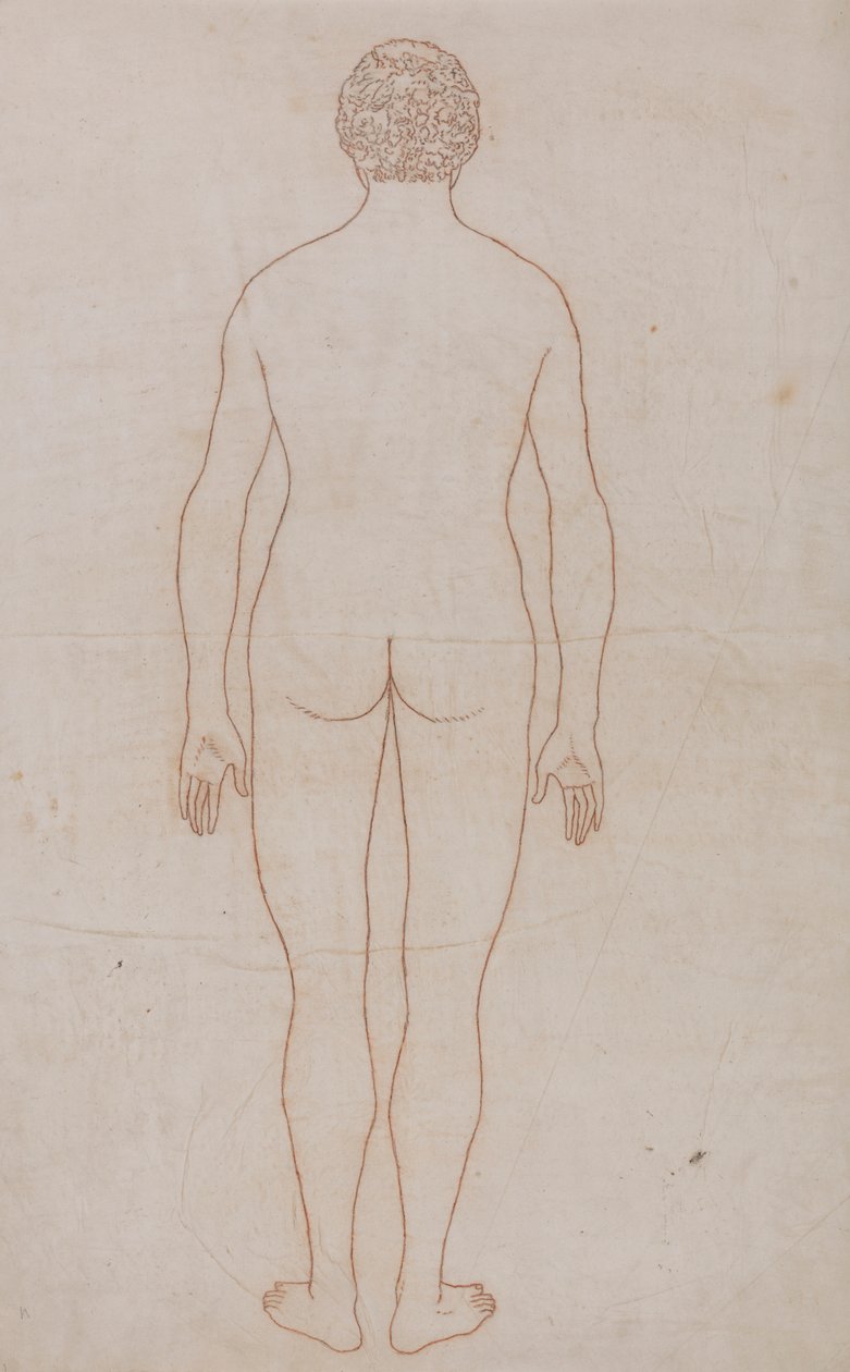 Corpo Humano, Vista Posterior (Esboço do Desenho para o Quadro VII) de George Stubbs