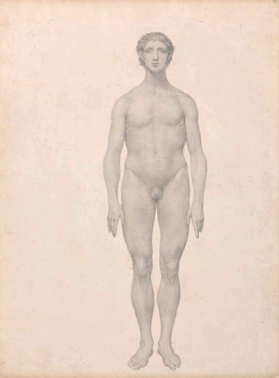 Figura Humana, Vista Anterior, Não Dissecada (Estudo Acabado para o Quadro VI) de George Stubbs