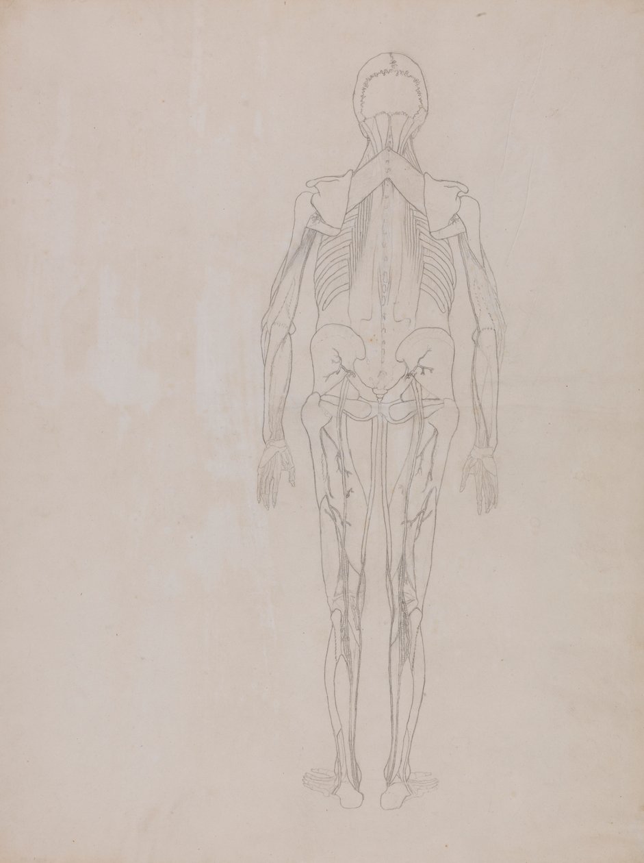 Figura Humana, Vista Posterior (Desenho de esboço para a figura chave de uma placa não publicada) de George Stubbs