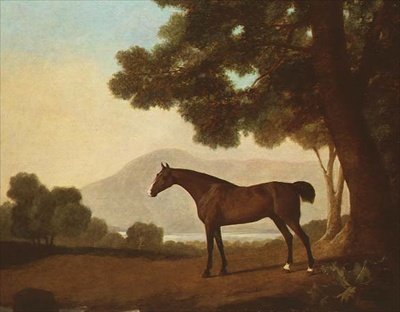 "Johnny", um garanhão de baía numa paisagem arborizada. de George Stubbs