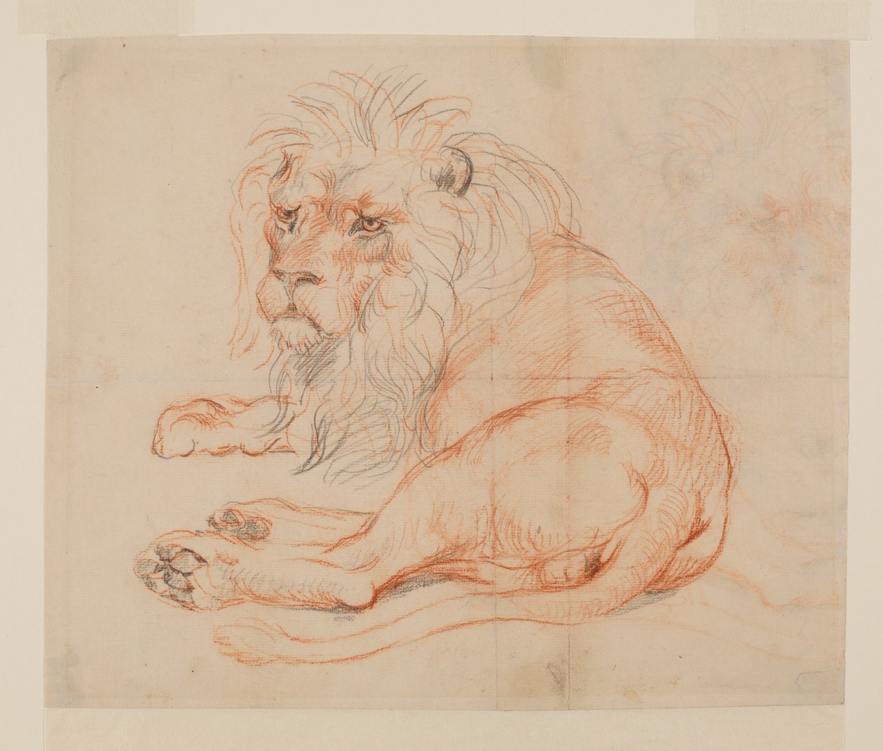 Leão descansando, reto, do século XVIII ou XIX de George Stubbs