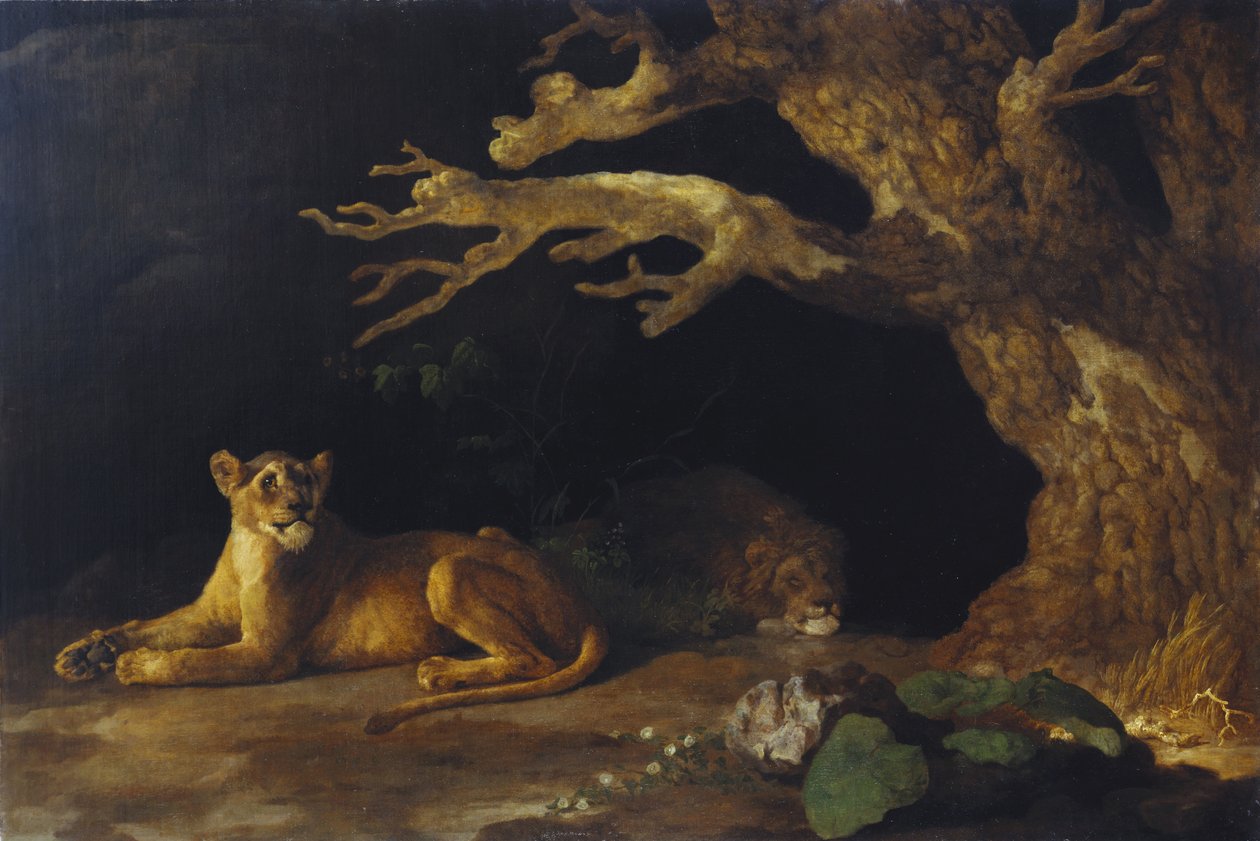 Leoa e caverna de George Stubbs