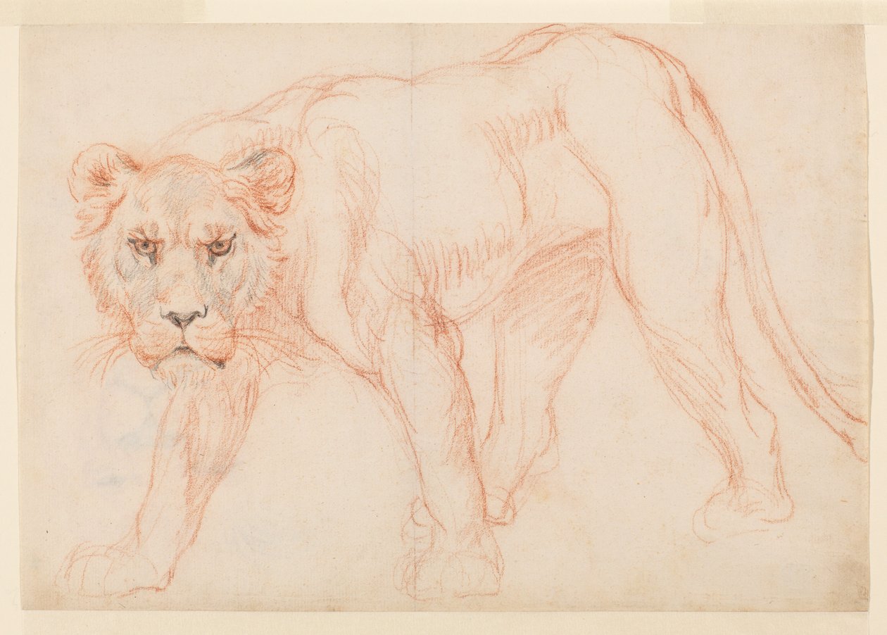 Leoa rondando, do século XVIII ou XIX de George Stubbs