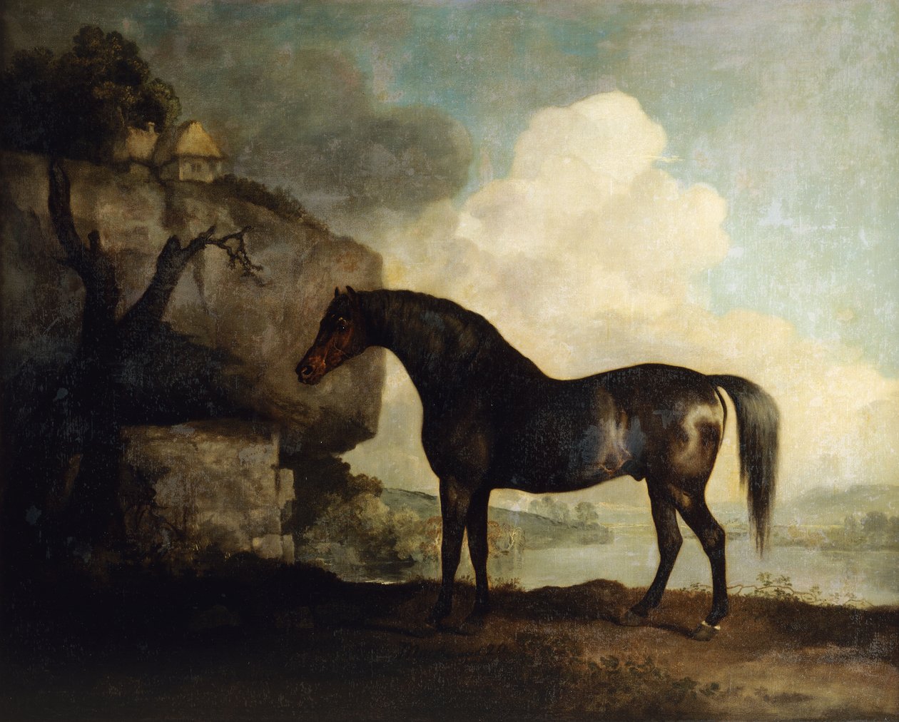 Marske " de George Stubbs