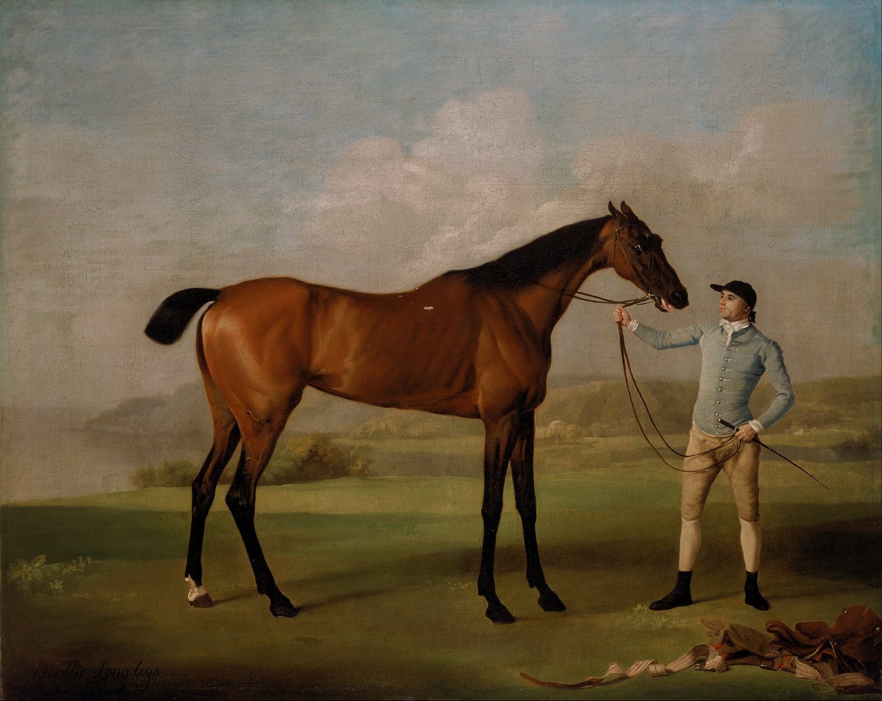 Molly Long-legs com o seu Jockey de George Stubbs