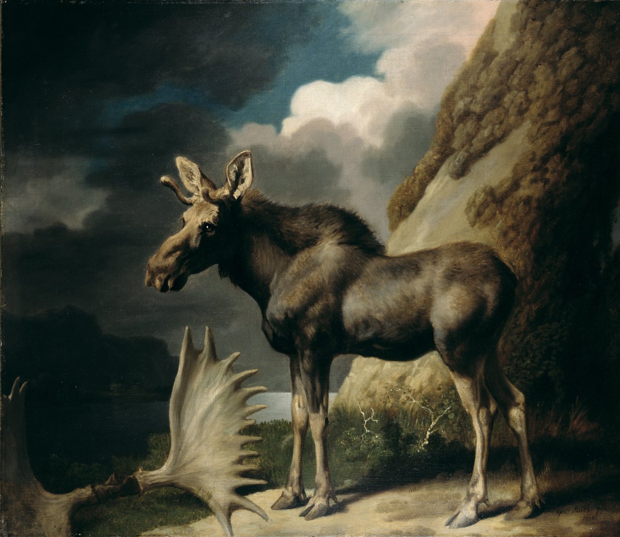 Alce, 1770 de George Stubbs