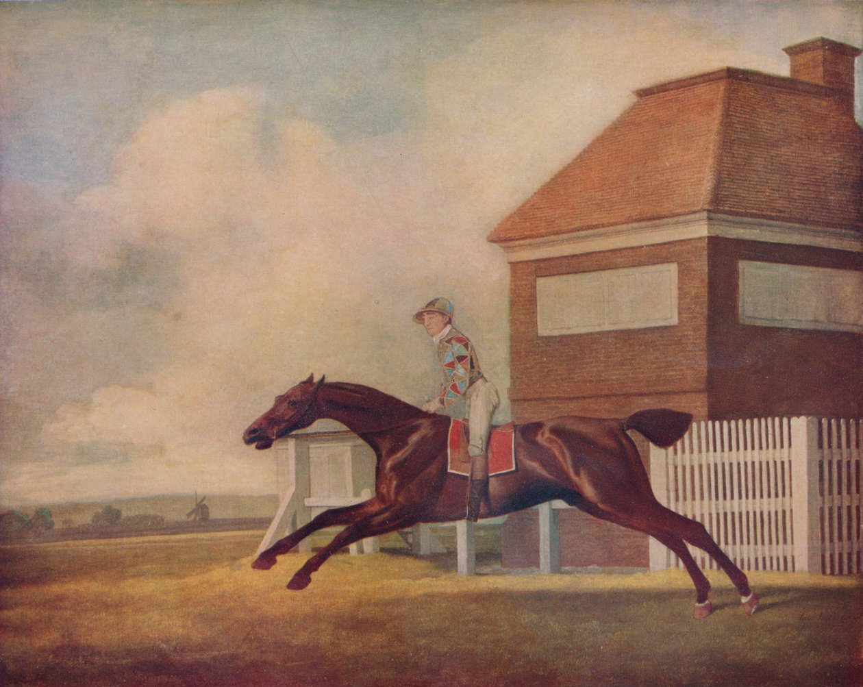 Sr. Ogilvys Bay Trhorham em Newmarket com Jockey, 1771 de George Stubbs