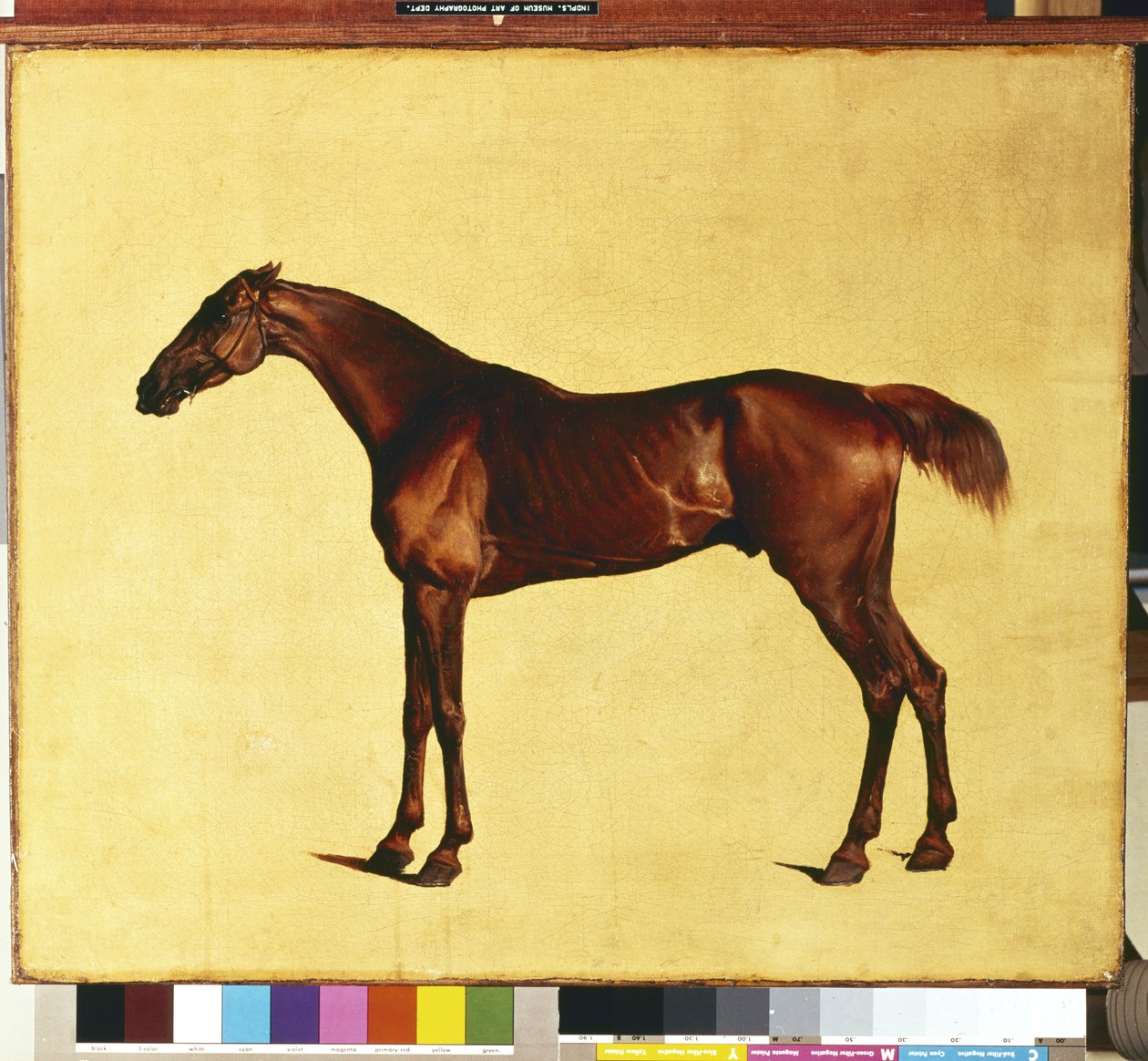 Pangloss (óleo sobre tela) de George Stubbs