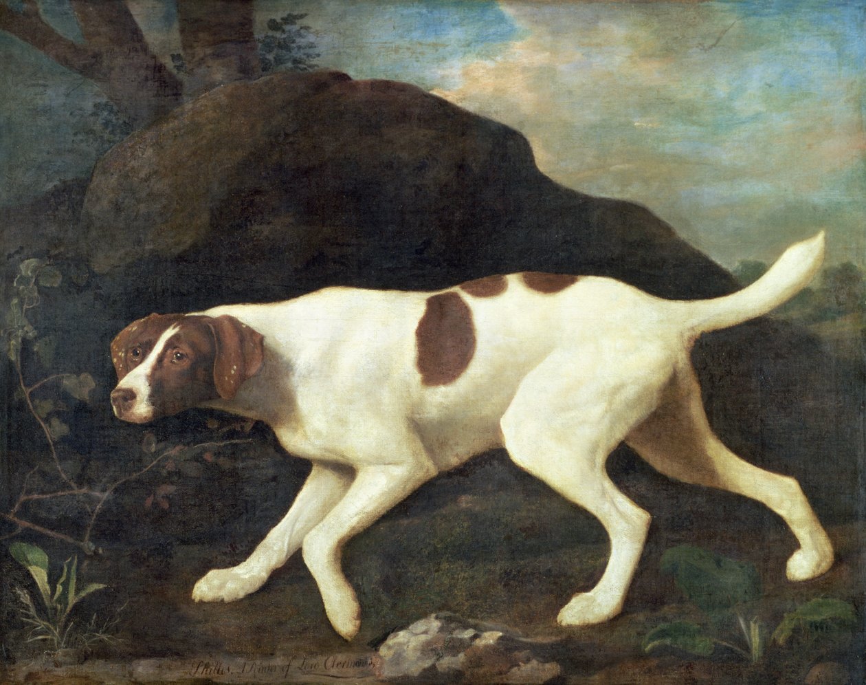 Phillis, uma Pointer de Lord Clermont&39;s de George Stubbs