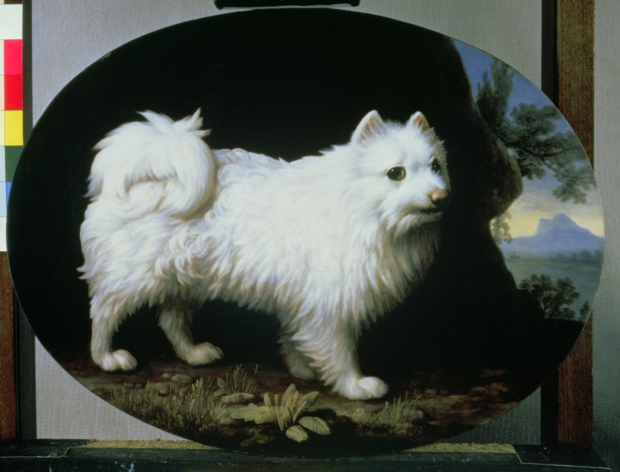 Retrato do cachorro branco da Sra. French, 1782 de George Stubbs