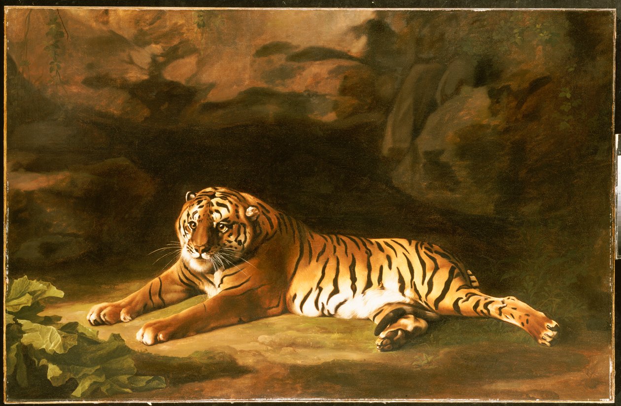 Retrato do Tigre Real, c.1770 de George Stubbs