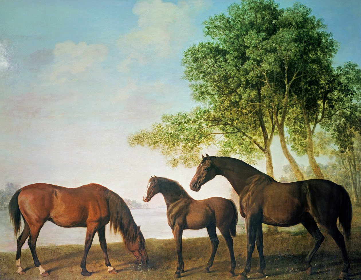 Éguas de Shafto e um potro de George Stubbs