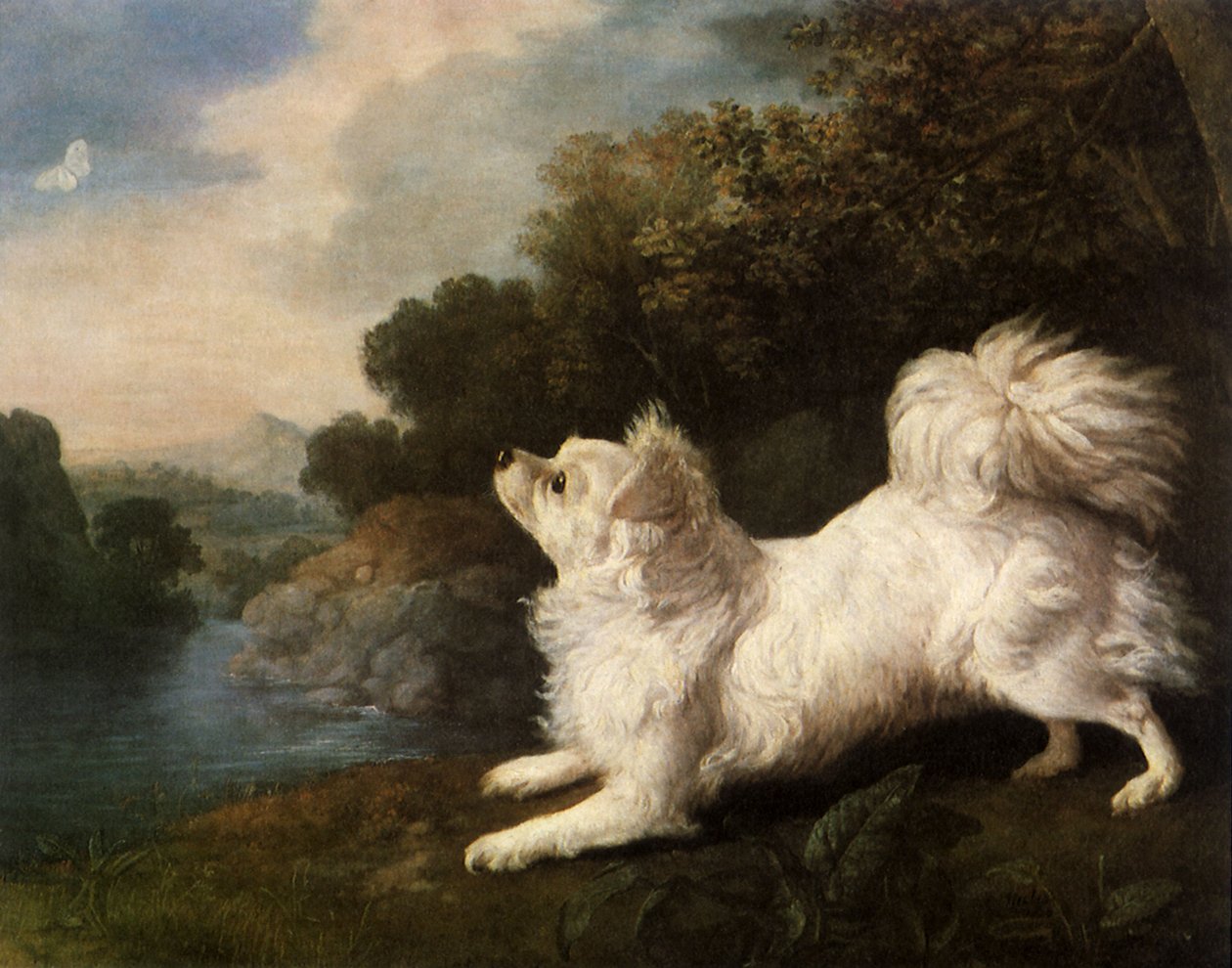 Spaniel pertencente ao pintor Cosway perseguindo uma borboleta, 1775 de George Stubbs