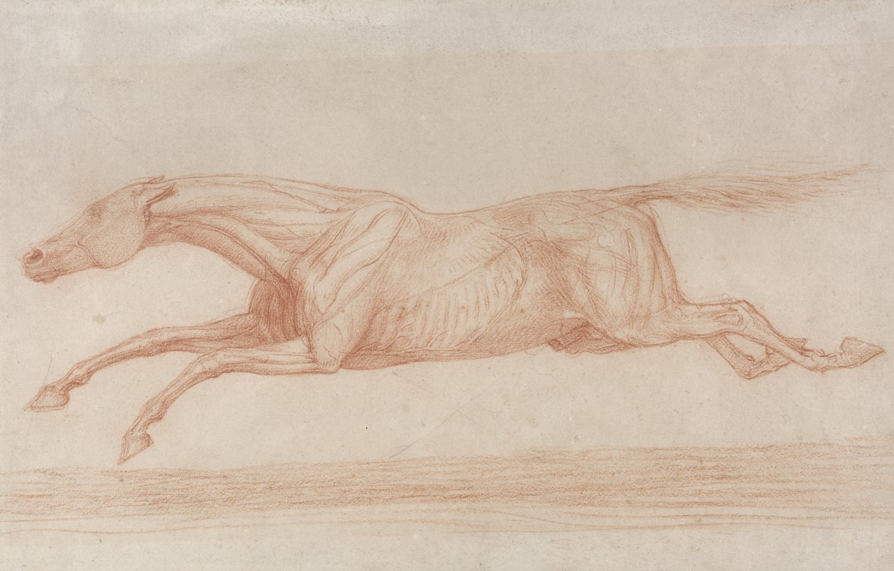Estudo de um cavalo de corrida em ação: galopando para a esquerda (giz vermelho sobre papel amarelo) de George Stubbs