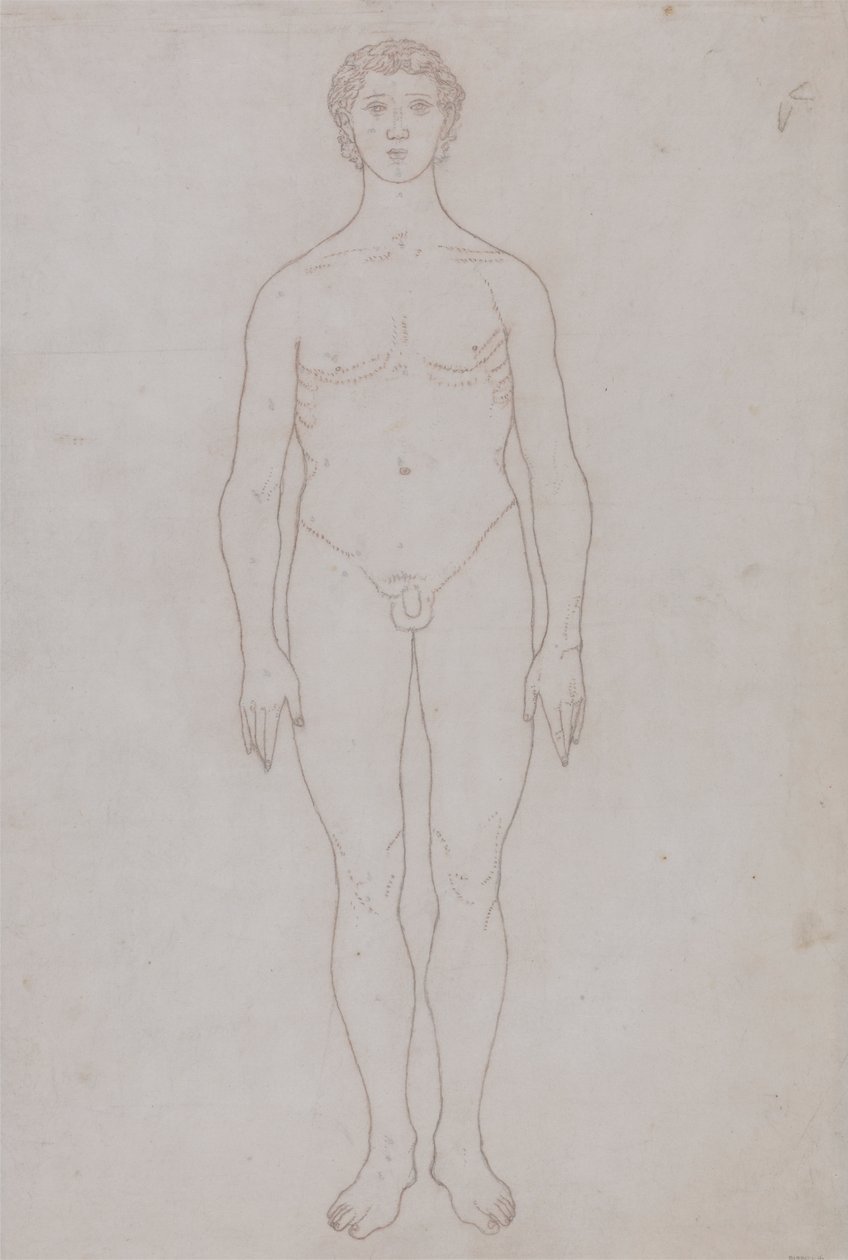 Estudo da Figura Humana, Vista Anterior (Esboço de Desenho para o Quadro VI) de George Stubbs