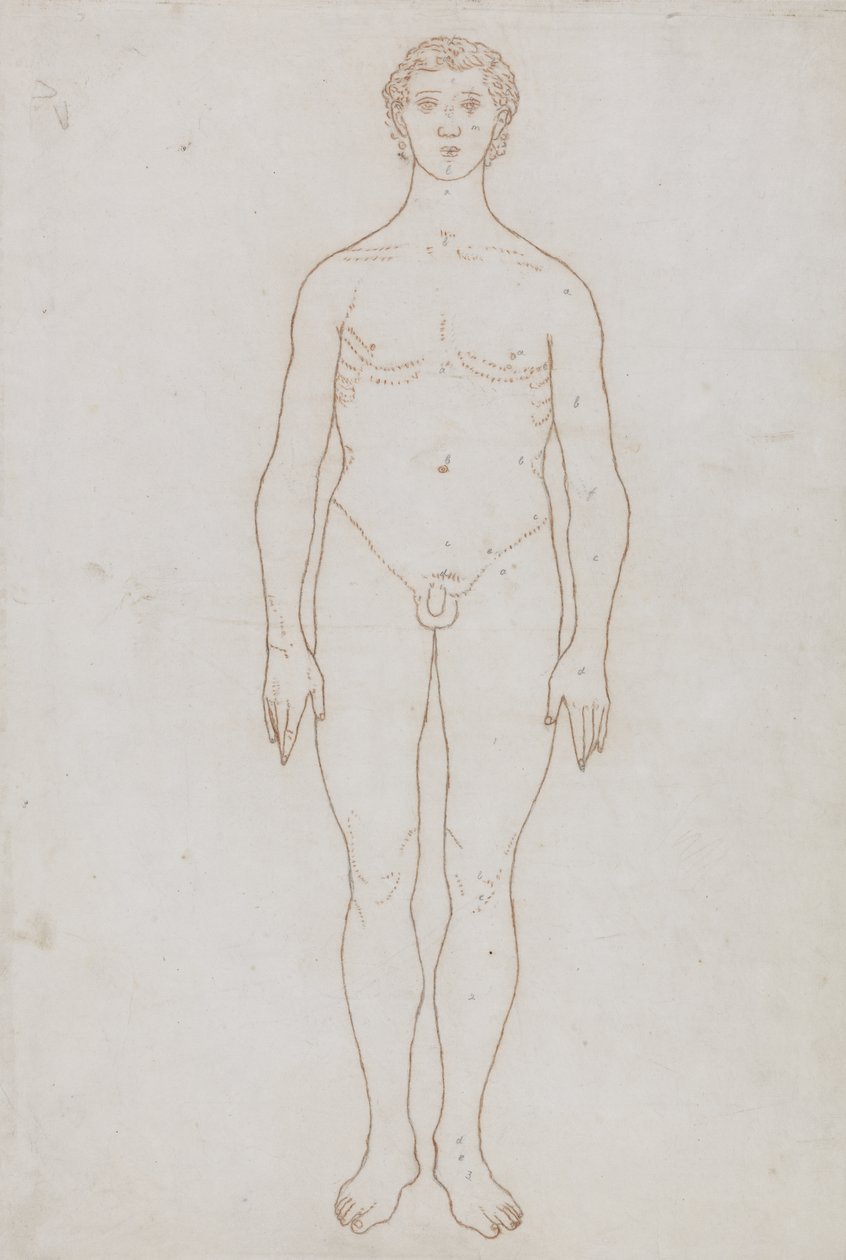Estudo da figura humana, vista anterior, de &39;Uma exposição anatômica comparativa da estrutura do corpo humano com a de um tigre e uma ave comum&39;, c.1795-1806 (giz vermelho no papel) de George Stubbs