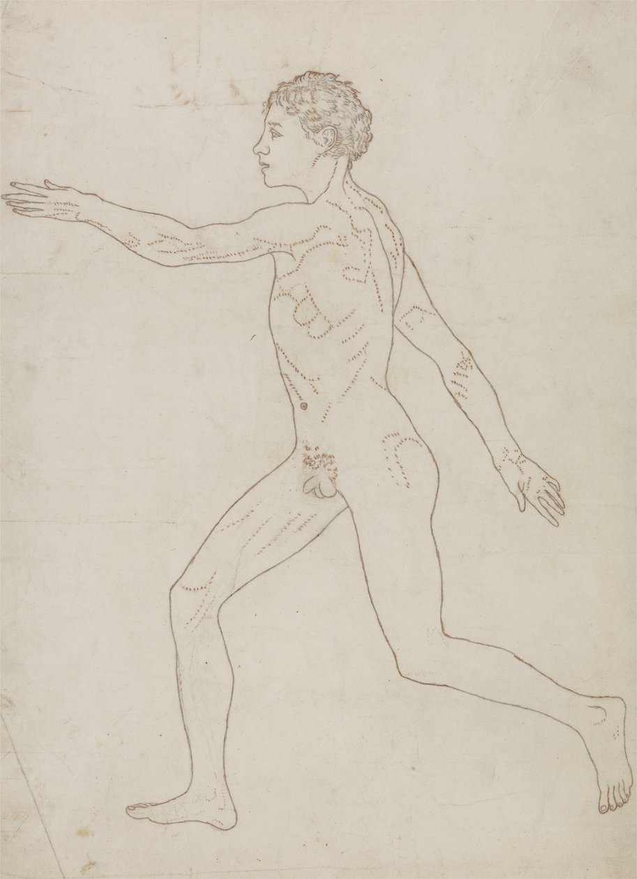 Estudo da figura humana, vista lateral, de &39;Uma exposição anatômica comparativa da estrutura do corpo humano com a de um tigre e uma ave comum&39;, c.1795-1806 (grafite sobre papel) de George Stubbs