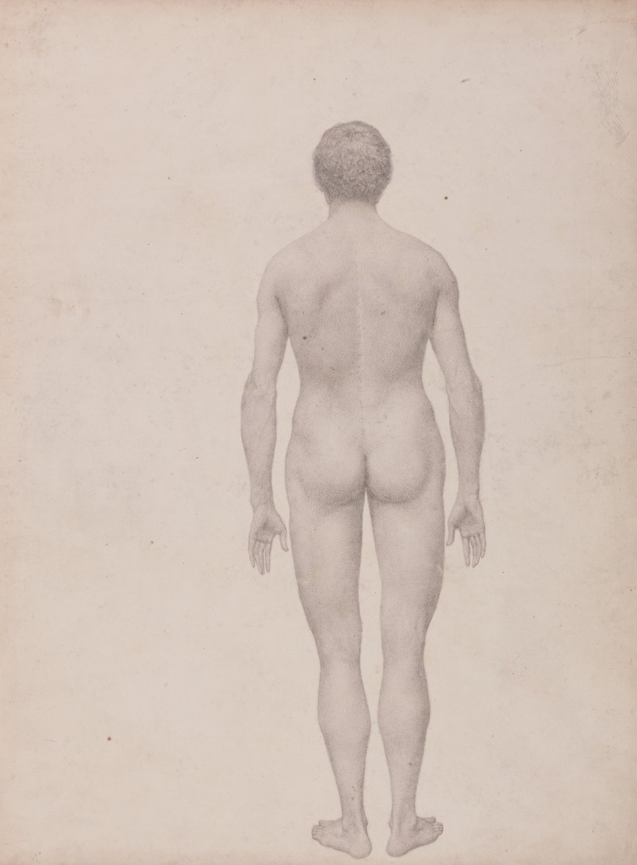 Estudo da Figura Humana, Vista Posterior, Undissected, Terminou o Estudo para a Tabela VII, a partir de uma exposição anatômica comparativa da estrutura do corpo humano com a de um tigre e uma ave comum de George Stubbs