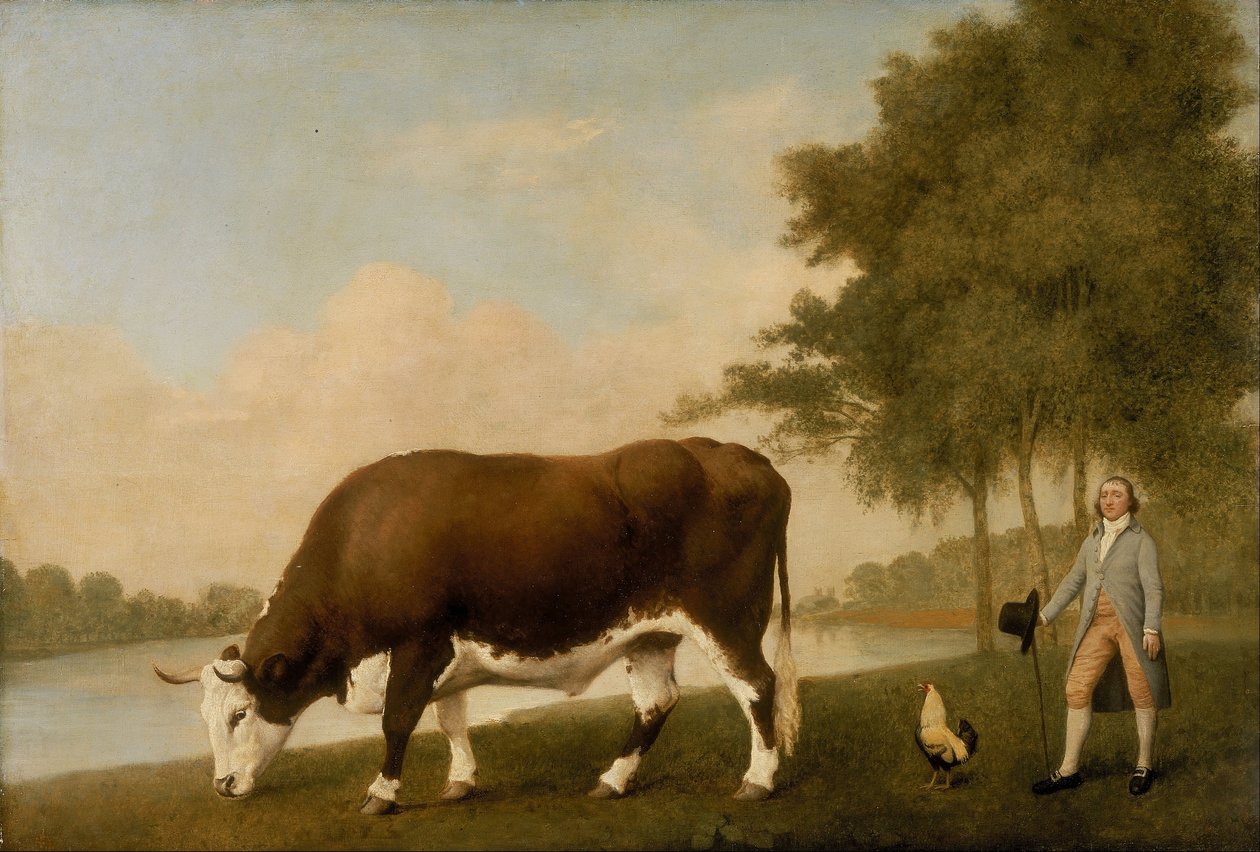 O boi de Lincolnshire de George Stubbs