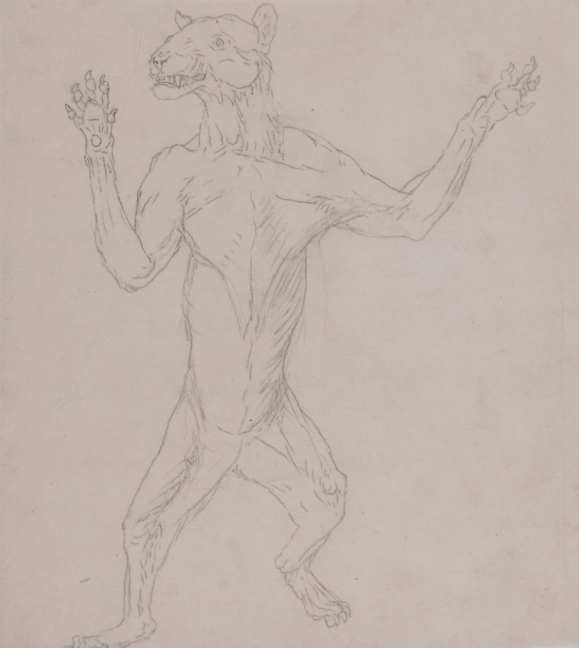 Corpo de Tigre, de Pé em Postura Humana de George Stubbs