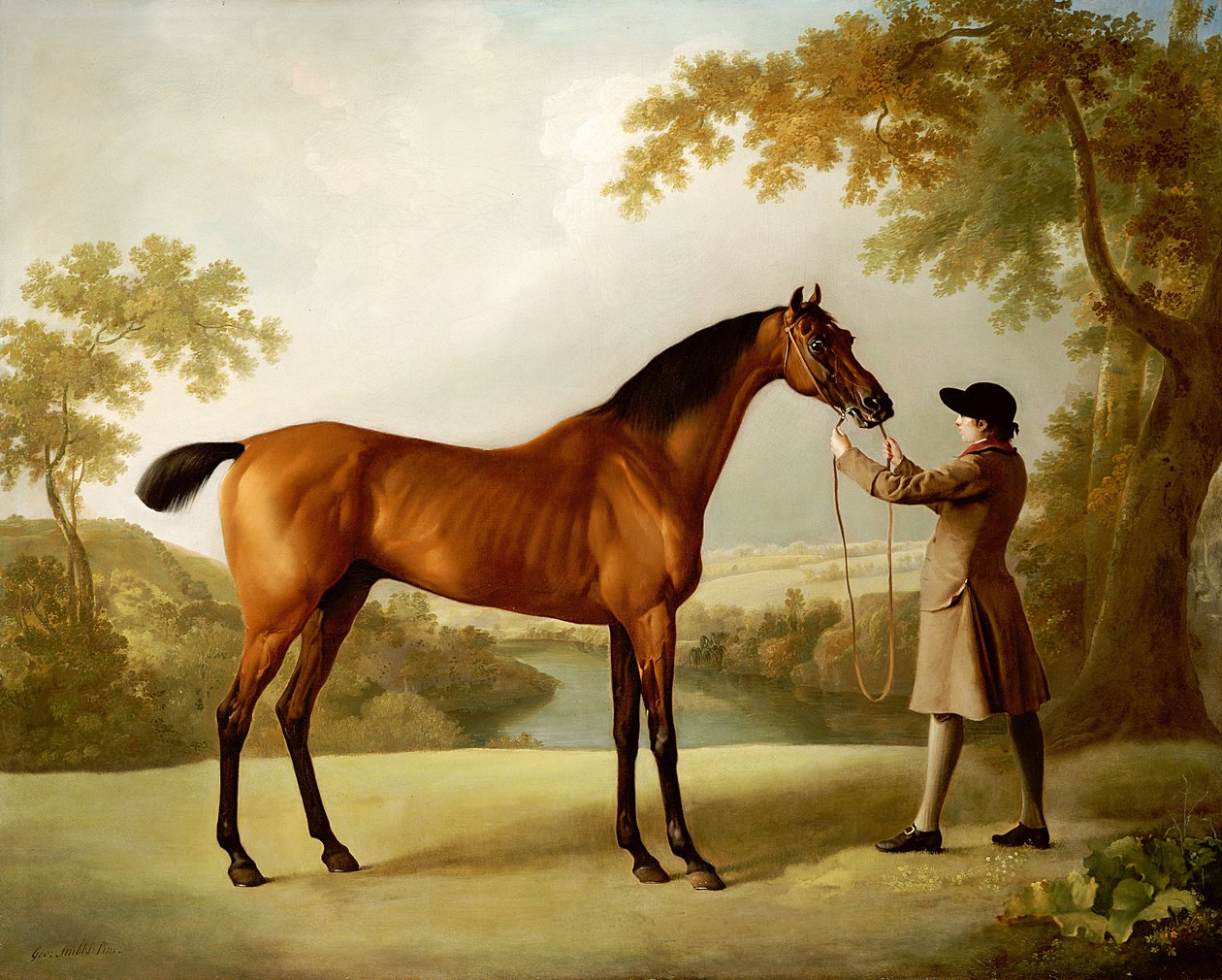 Tristram Shandy, um cavalo de corrida da baía realizado por um noivo em uma paisagem extensa, c.1760 de George Stubbs