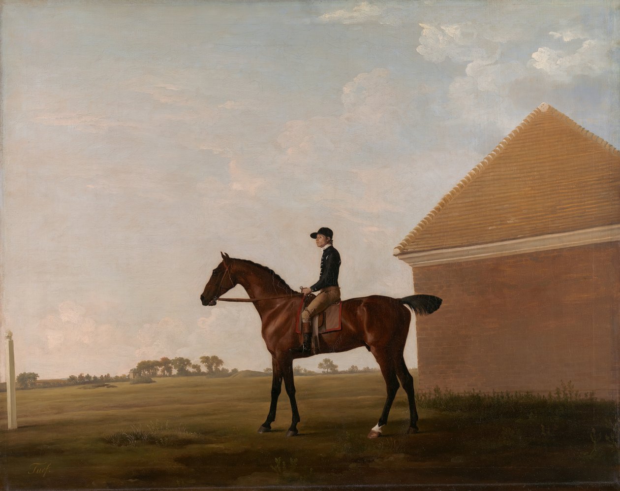 Turf, com Jockey up, em Newmarket, ca. 1766. de George Stubbs